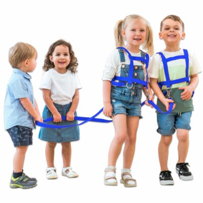 Pferdegeschirr Zweispänner