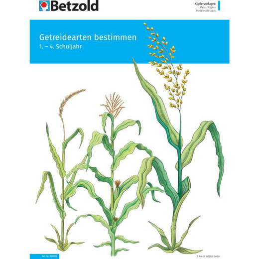 Betzold-Themenheft-Getreidearten-bestimmen-E_760028_b-ZN Themenheft „Getreidearten bestimmen“ - Betzold Themenheft Getreidearten bestimmen E 760028 b ZN