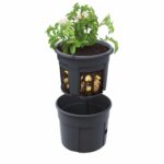 Kartoffel-Pflanztopf - Kartoffel Pflanztopf E 763558 a ZN