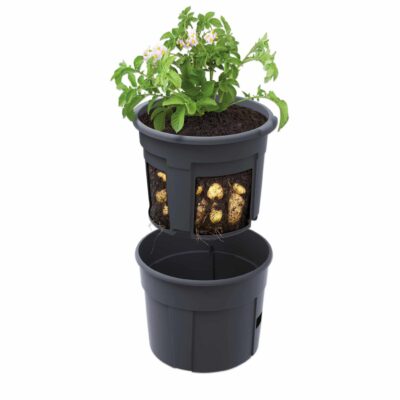 Kartoffel-Pflanztopf