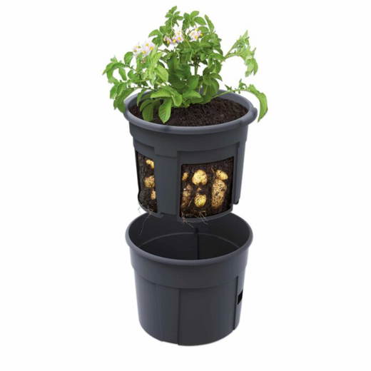 Kartoffel-Pflanztopf-E_763558_a-ZN Kartoffel-Pflanztopf - Kartoffel Pflanztopf E 763558 a ZN