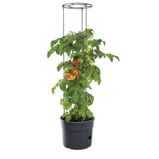Tomaten-Pflanztopf-E_766322_a-ZN Tomaten-Pflanztopf - Tomaten Pflanztopf E 766322 a ZN