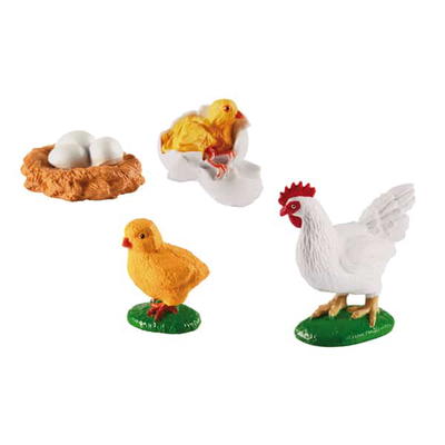 Lebenszyklen Huhn