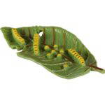 Lebenszyklen Schmetterling - 120766 2