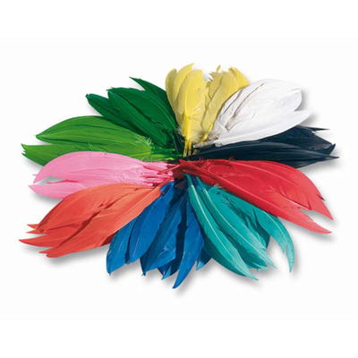 Bunte Federmischung
