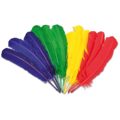 Bunte Riesen-Federn, 24 Stück