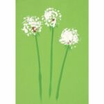 Tonkarton, 160 g/m², DIN A4, 500 Blatt, 10 Farben - Tonkarton 160 g m DIN A4 500 Blatt 10 Farben 80616 d ZN