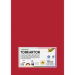 Tonkarton, 160 g/m², DIN A4, 500 Blatt, 10 Farben - Tonkarton 160 g m DIN A4 500 Blatt 10 Farben 80616 f ZN