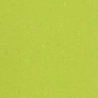 Lagerregal für bis zu 12 Töpfchen mit Schrägboden - linoleum limonengruen