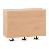 Flexeo® Garderoben-Hängeregal „Armadio“, Breite 60 cm, Tiefe 23 cm – Bild 15