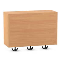 Flexeo® Garderoben-Hängeregal „Armadio“, Breite 60 cm, Tiefe 23 cm – Bild 19