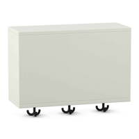 Flexeo® Garderoben-Hängeregal „Armadio“, Breite 60 cm, Tiefe 23 cm – Bild 27