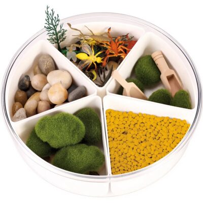 Sensorik-Kasten Insekten