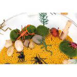Sensorik-Kasten Insekten - 120979 2