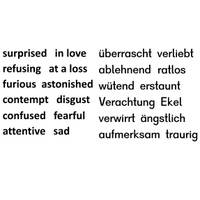 Zuordnungs-Teppichset Emotionen - EmotionText90x45