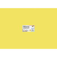 Tonkarton, 220 g/m², 50 x 70 cm, 100 Bogen, 10 Farben - folia Tonkarton 220 g m 50 x 70 cm 100 Bogen 10 Farben 81522 f ZN