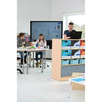Grande Regal Raumteiler, T 48, H 117 cm – Bild 6