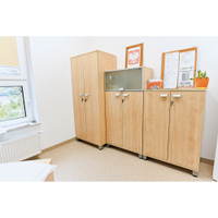 OPTO Schrank, Höhe: 119 cm - D095025K d 24