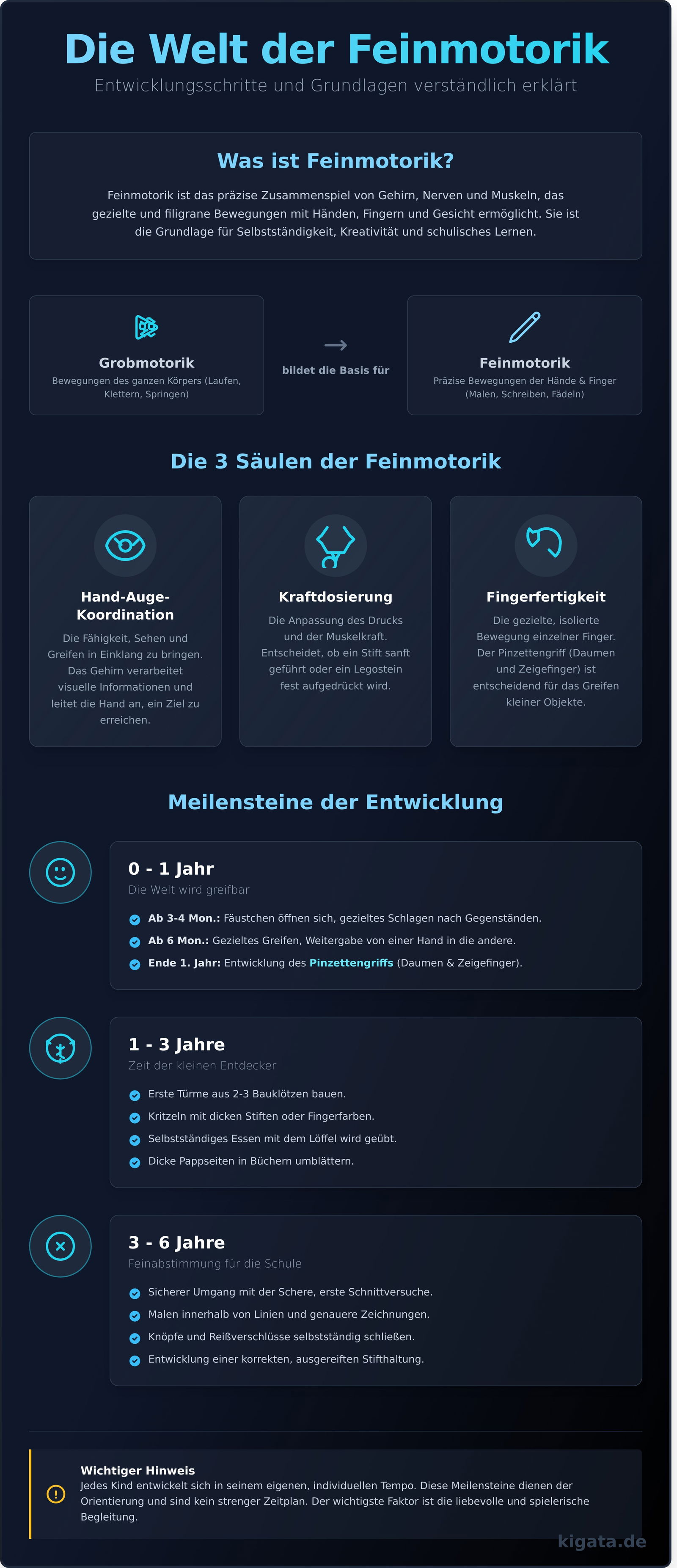 Feinmotorik: Der komplette Leitfaden für die kindliche Entwicklung - Infographic