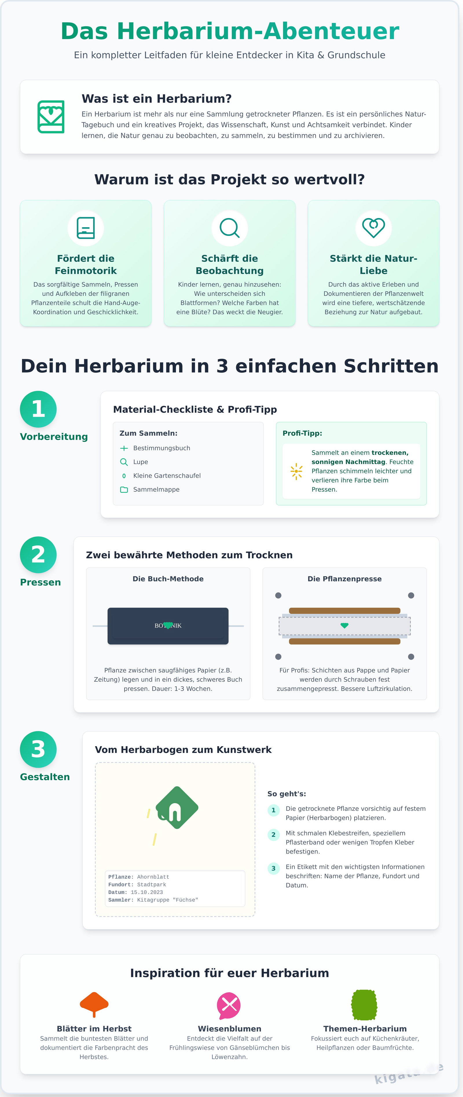 Herbarium anlegen: Der komplette Leitfaden für Kita & Grundschule