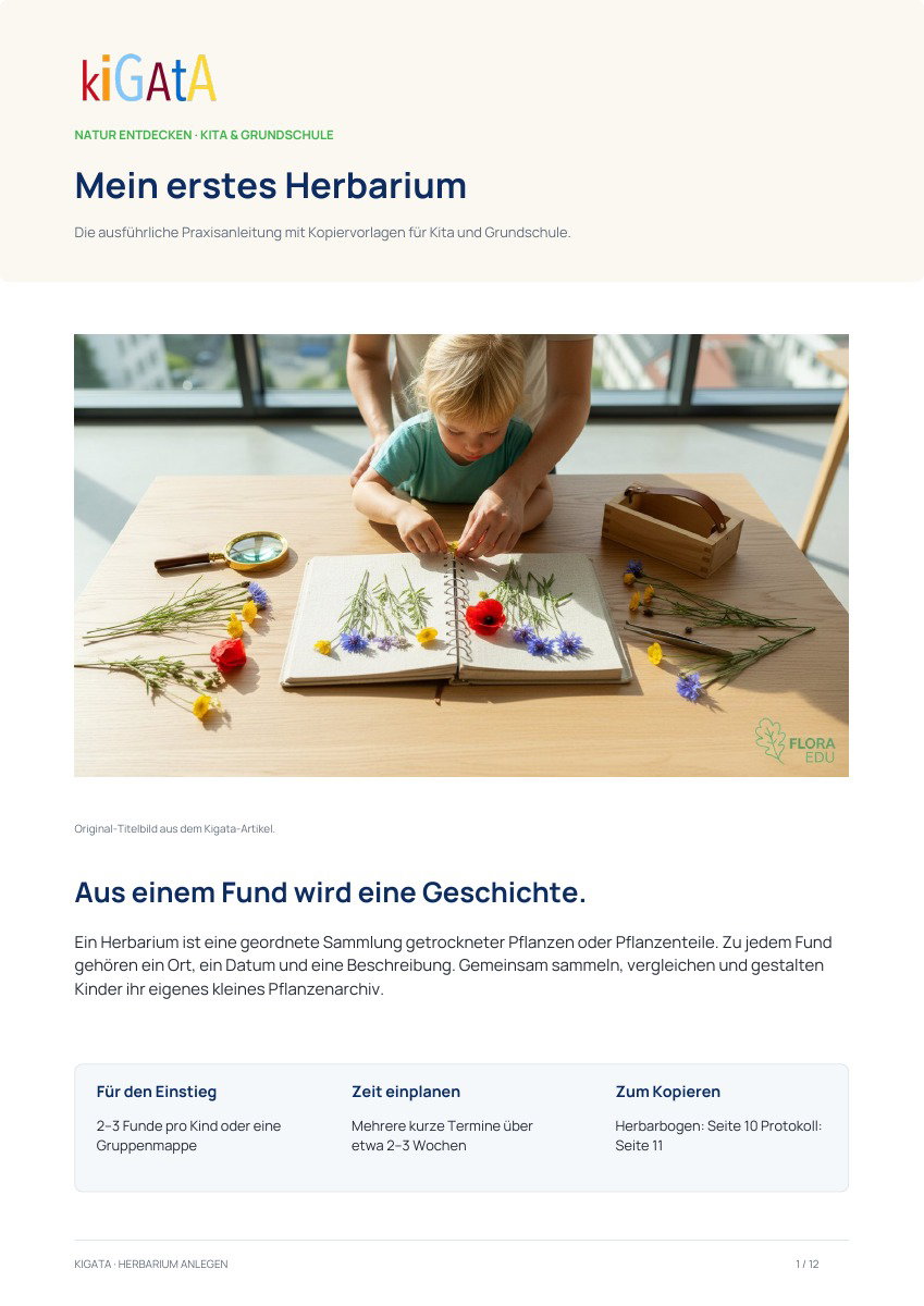 PDF-Vorschau zu Herbarium anlegen: Der komplette Leitfaden für Kita & Grundschule