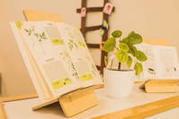 Ergonomische Schreibplattform Desktop Buddy - study buddy book buddy 0000 IMG 2723