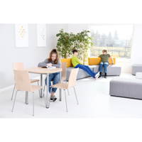 Stuhl CAFE Espresso, SH 45 cm, Standard Alu - 048154 r 21