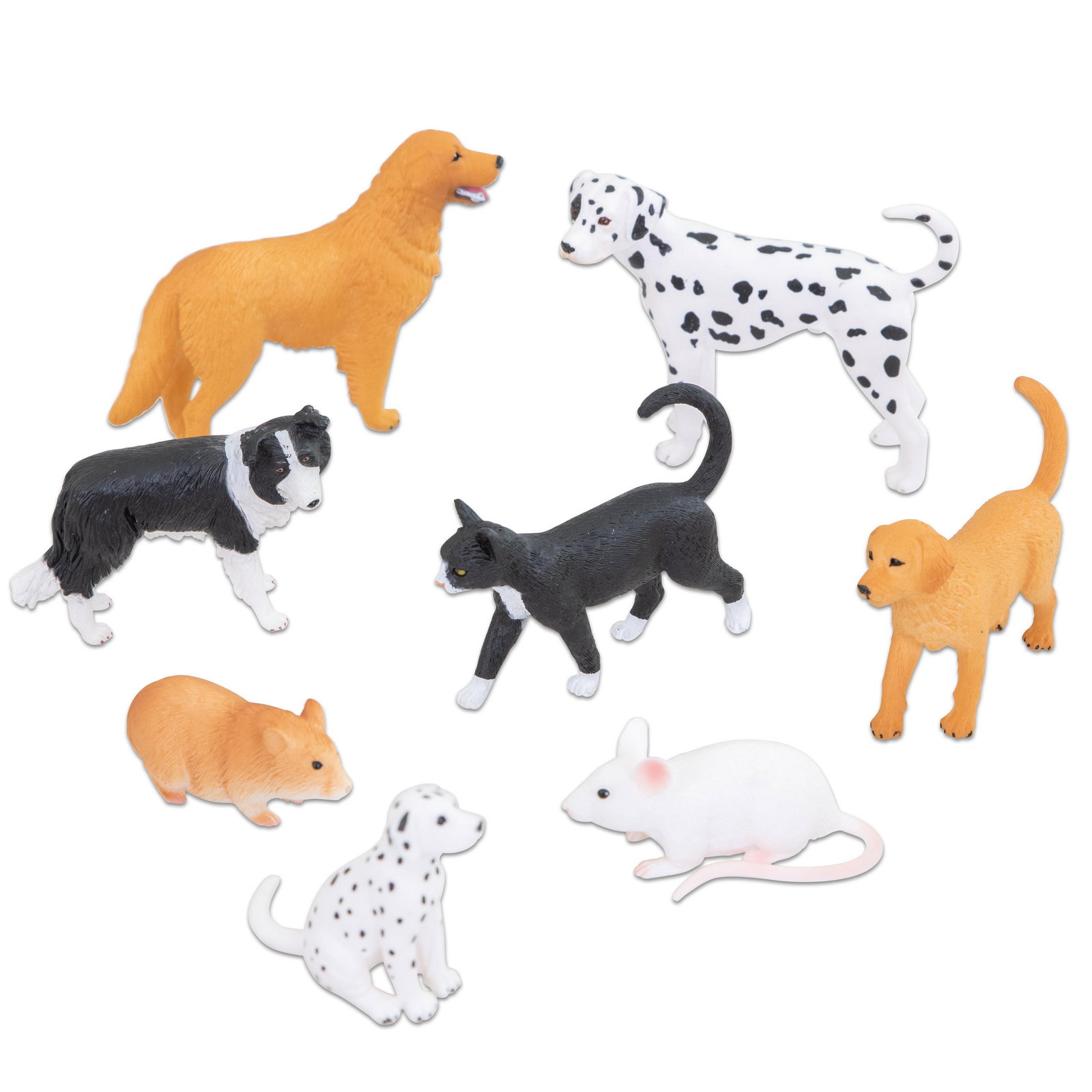 Betzold Haustiere, 8-tlg.