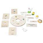 Lebenszyklen-Set - Betzold Lebenszyklen Set E 773103 a ZN
