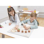 Lebenszyklen-Set - Betzold Lebenszyklen Set E 773103 j ZN