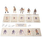 Lebenszyklen-Set - Betzold Lebenszyklen Set E 773103 l ZN