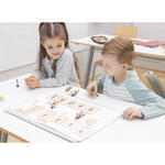 Lebenszyklen-Set - Betzold Lebenszyklen Set E 773103 m ZN