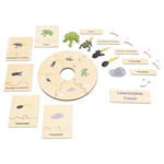 Lebenszyklen-Set - Betzold Lebenszyklen Set E 773103 n ZN