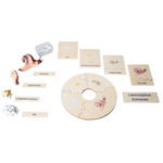Lebenszyklen-Set - Betzold Lebenszyklen Set E 773103 o ZN