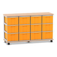 Flexeo® Fahrbares Containersystem mit Ablage, 12 große Boxen