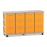 Flexeo® Fahrbares Containersystem mit Ablage, 12 große Boxen