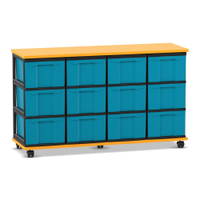 Flexeo® Fahrbares Containersystem mit Ablage, 12 große Boxen