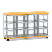 Flexeo® Fahrbares Containersystem mit Ablage, 12 große Boxen