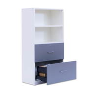 Flexeo® Schrank, 2 große Schubladen, oben 2 Fächer = 4 Ordnerhöhen - 818073 i