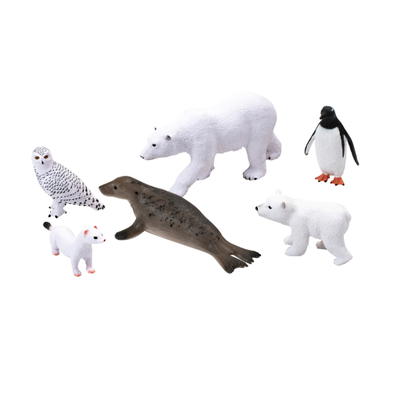 Arktische und antarktische Tiere, 6-teilig