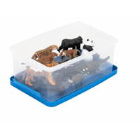 Asiatische Tiere, 11-teilig - Betzold Asiatische Tiere 11 teilig 761890 b ZN