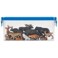 Nordamerikanische Tiere, 12-tlg. – Bild 8