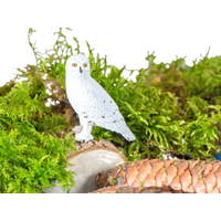 Nordamerikanische Tiere, 12-tlg. – Bild 5