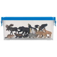 Waldtiere-Europa-Set, 15-tlg. - Betzold Waldtiere Europa Set 15 tlg 761845 d ZN