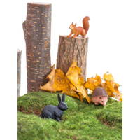 Waldtiere-Set, 10-tlg. - Betzold Waldtiere Set 10 tlg 97831 i ZN