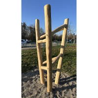 Kletterbaum Robinie – Bild 5