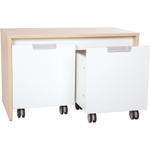 Quadro – Schrank S für Rollbehälter, B 79 - 092169 d 15