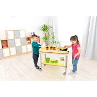 Rollwagen mit Aufkantung - 095665 l 17