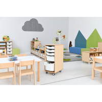 Flexi Regal M für Kunststoffbehälter, B 36, auf Rollen - 098369 l 21