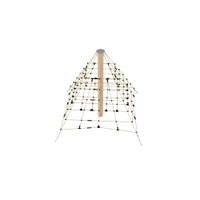 Robinio Kleine Pyramide - NV6858 b 25